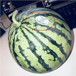 网红最新热门吃瓜,揭秘娱乐圈最新热点事件