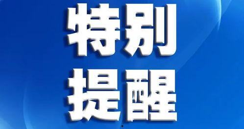 深圳爆料最新新闻消息视频,视频揭示城市动态与热点事件